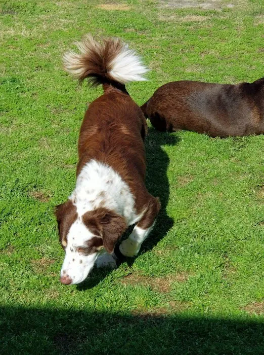 River Road Animal Clinic Picture 4
