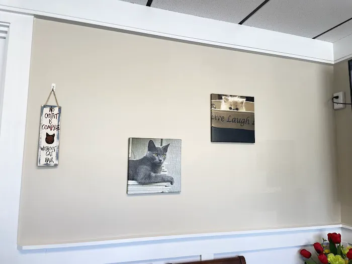 Animal General Hospital Picture 5