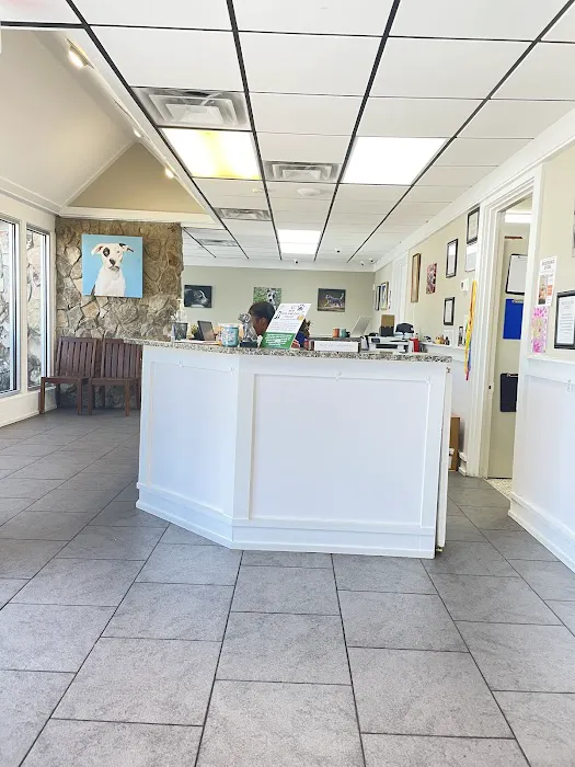 Animal General Hospital Picture 3