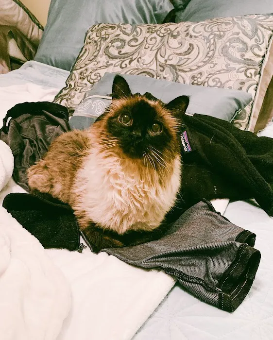 Animal General Hospital Picture 7