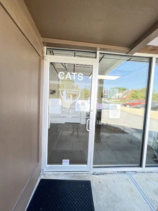 Animal General Hospital Picture 10