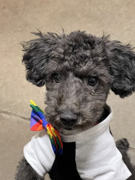 Ross Bridge Animal Hospital Picture 7