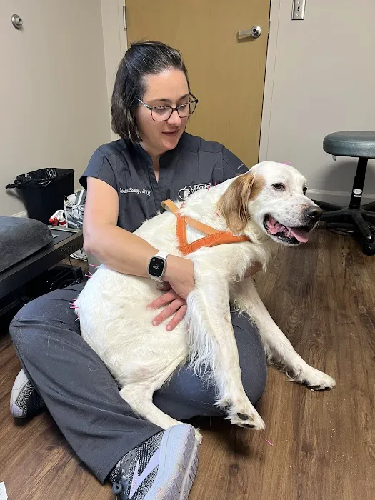 Bonded Hearts Veterinary Care Picture 1