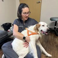 Bonded Hearts Veterinary Care ico