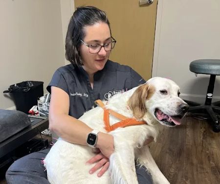 Bonded Hearts Veterinary Care