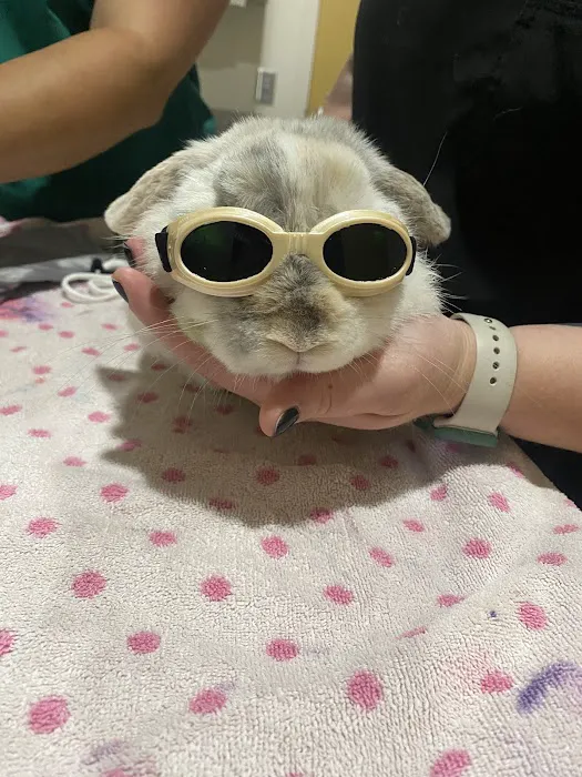 Bonded Hearts Veterinary Care Picture 2