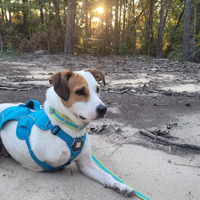 Hope Animal Clinic Picture 4