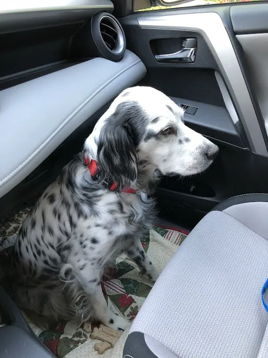 Hope Animal Clinic Picture 6