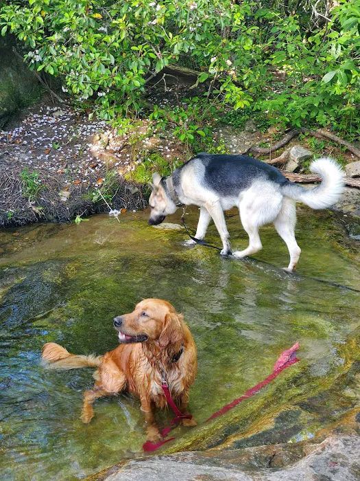 Hope Animal Clinic Picture 7