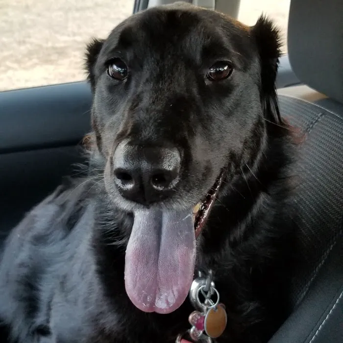 Hope Animal Clinic Picture 9