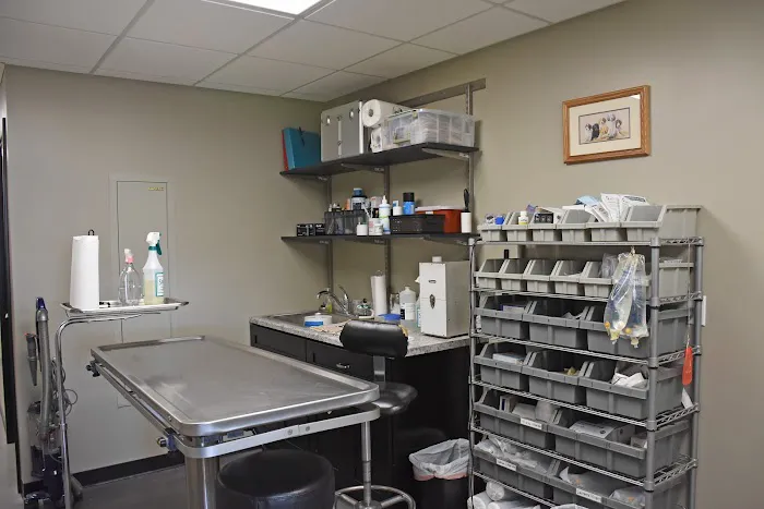 Fairview Veterinary Clinic LLC Picture 4