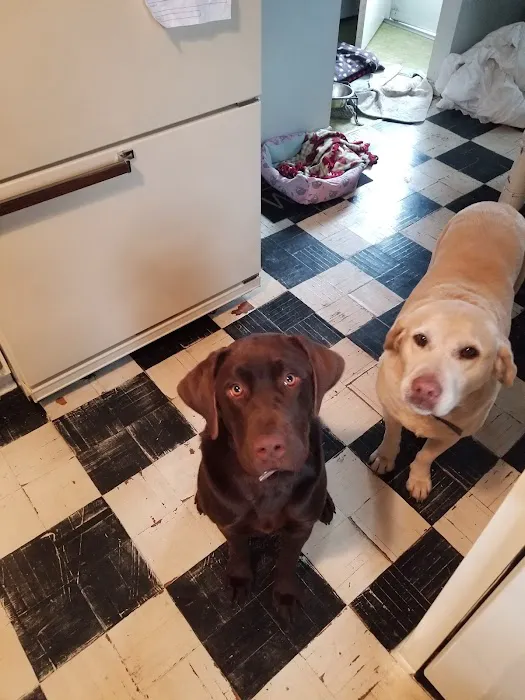 Fairview Veterinary Clinic LLC Picture 9