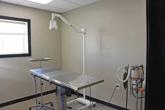 Fairview Veterinary Clinic LLC Picture 5