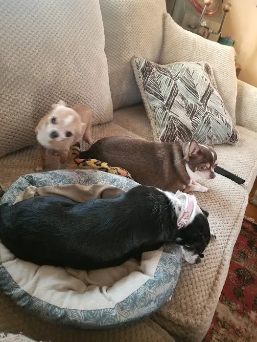 Fairview Veterinary Clinic LLC Picture 10