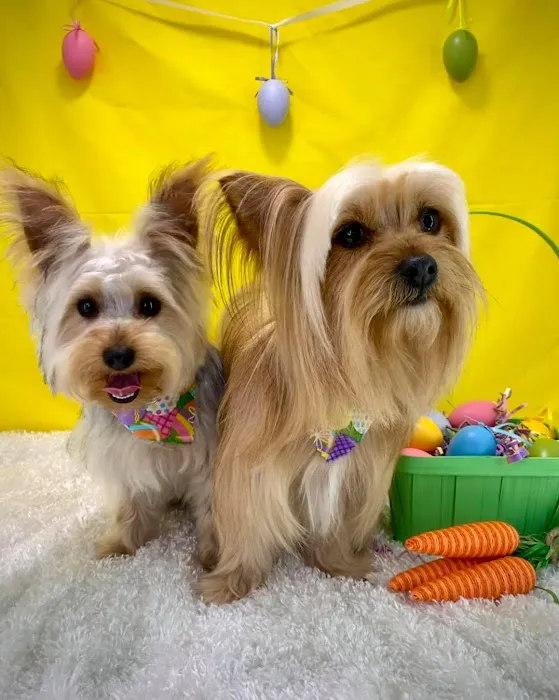 Companion Veterinary Clinic of Greene County Picture 6