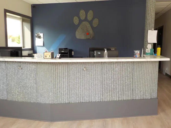 Companion Veterinary Clinic of Greene County Picture 4