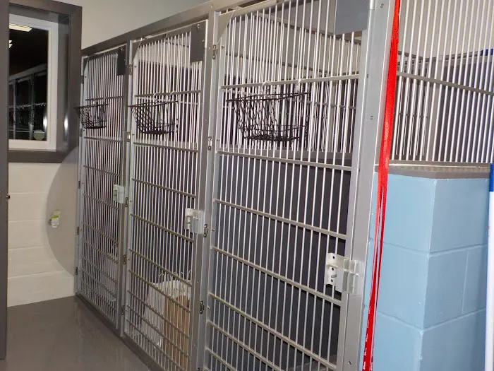 Companion Veterinary Clinic of Greene County Picture 5