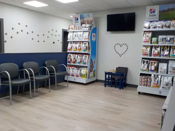 Companion Veterinary Clinic of Greene County Picture 8