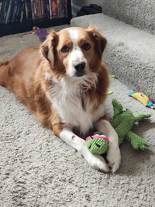 Perry Animal Clinic Pc Picture 2