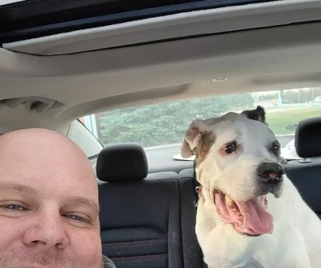 Perry Animal Clinic Pc