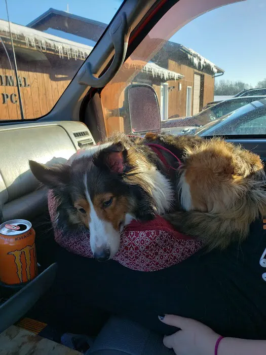 Perry Animal Clinic Pc Picture 3