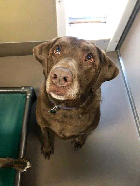 Grimes Plaza Veterinary Clinic Picture 2