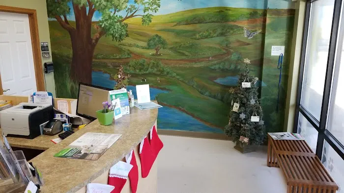 Grimes Plaza Veterinary Clinic Picture 9