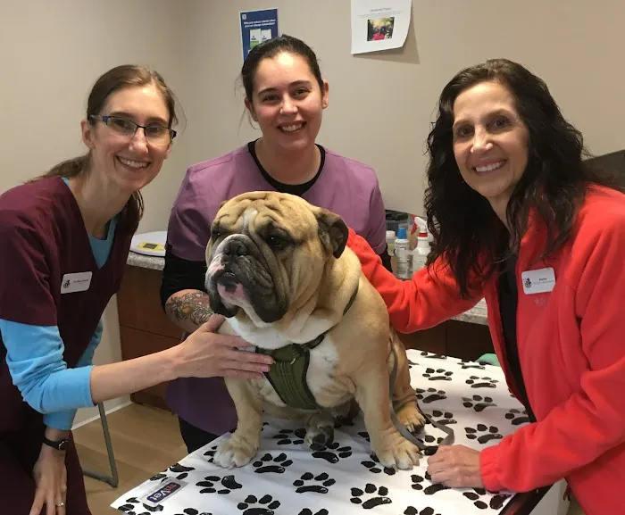 St Francis Veterinary Care Picture 5