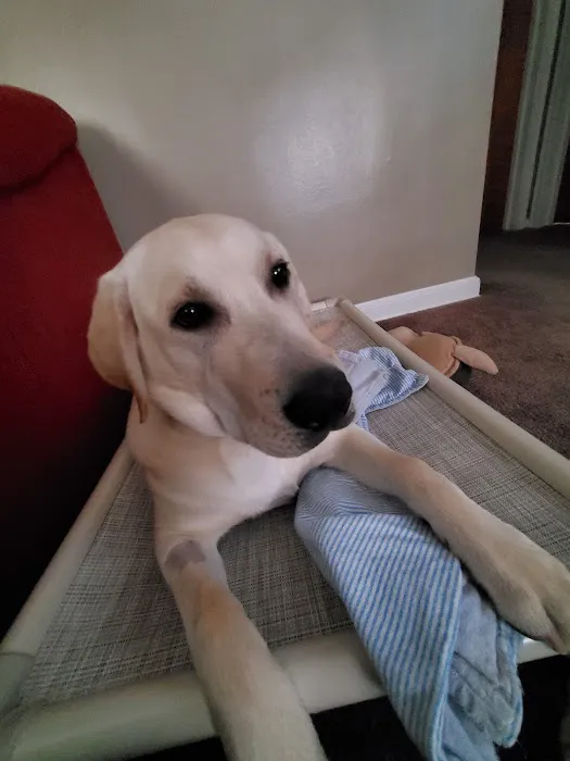 Prairie View Animal Hospital Picture 1