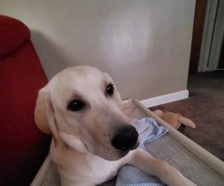 Prairie View Animal Hospital