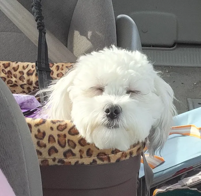 Prairie View Animal Hospital Picture 4