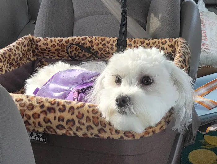 Prairie View Animal Hospital Picture 3