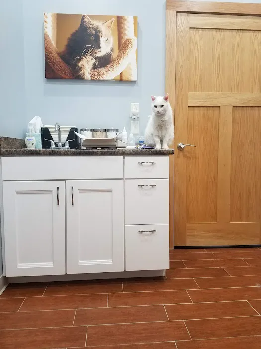 Prairie View Animal Hospital Picture 2