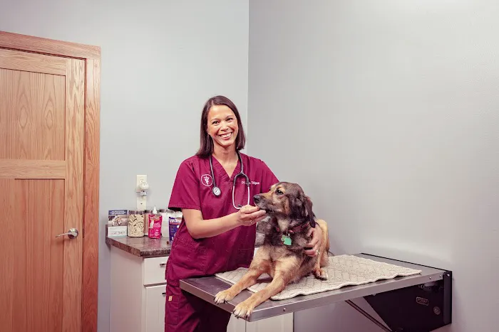Prairie View Animal Hospital Picture 8