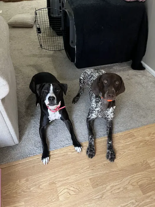 Prairie View Animal Hospital Picture 6