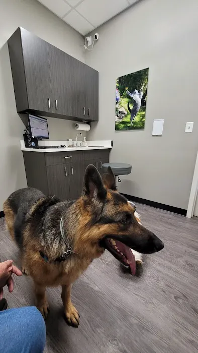 Westfield Veterinary Hospital Picture 3