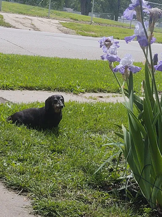 Westfield Veterinary Hospital Picture 1