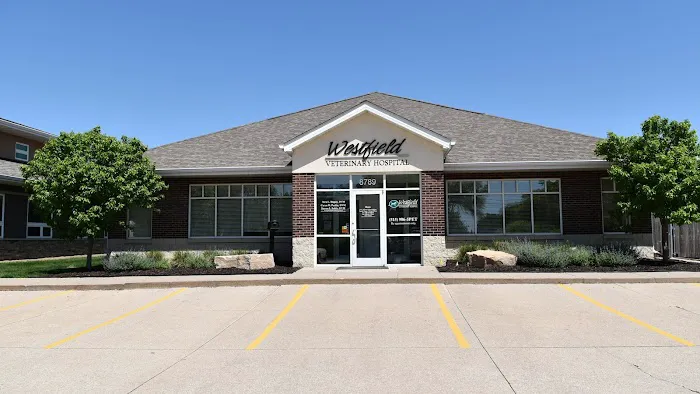 Westfield Veterinary Hospital Picture 5