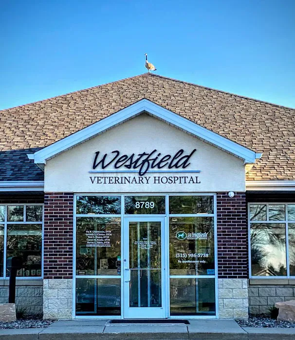 Westfield Veterinary Hospital Picture 7