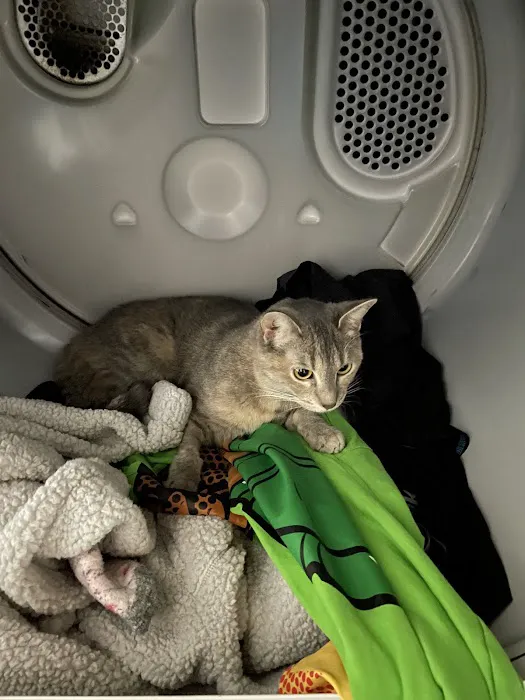 Westfield Veterinary Hospital Picture 9