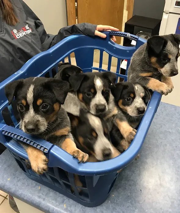 Animal Health Center of Albia Picture 7