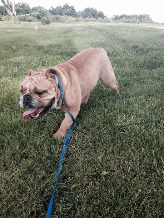 Animal Health Center of Albia Picture 8