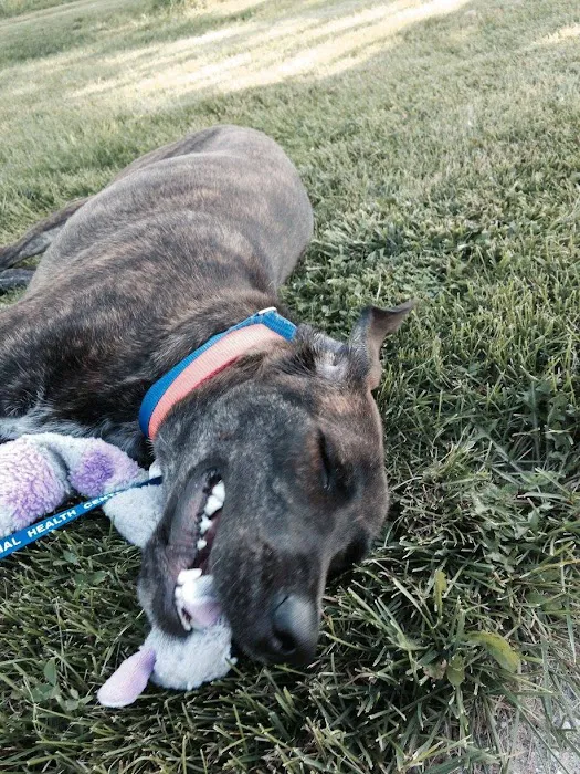 Animal Health Center of Albia Picture 9