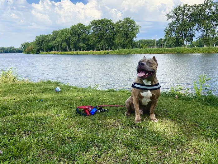 Ottumwa Family Animal Care Picture 5