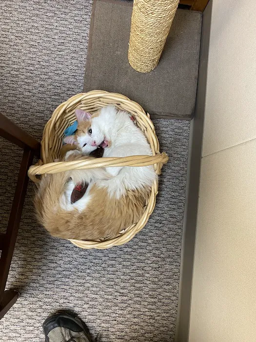 Iowa Veterinary Wellness Center Picture 4