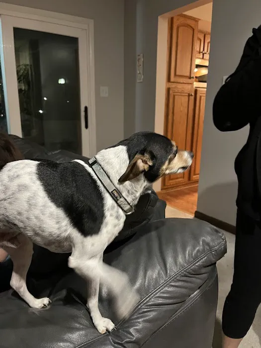 Iowa Veterinary Wellness Center Picture 8