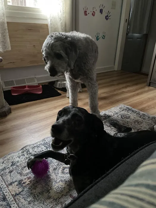 Iowa Veterinary Wellness Center Picture 9