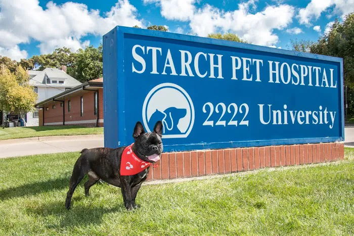 Starch Pet Hospital Picture 1