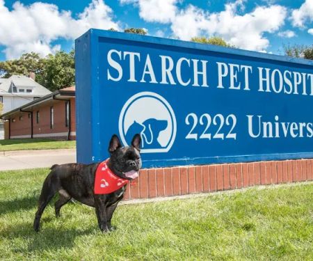 Starch Pet Hospital