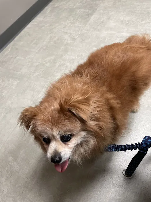 Starch Pet Hospital Picture 3